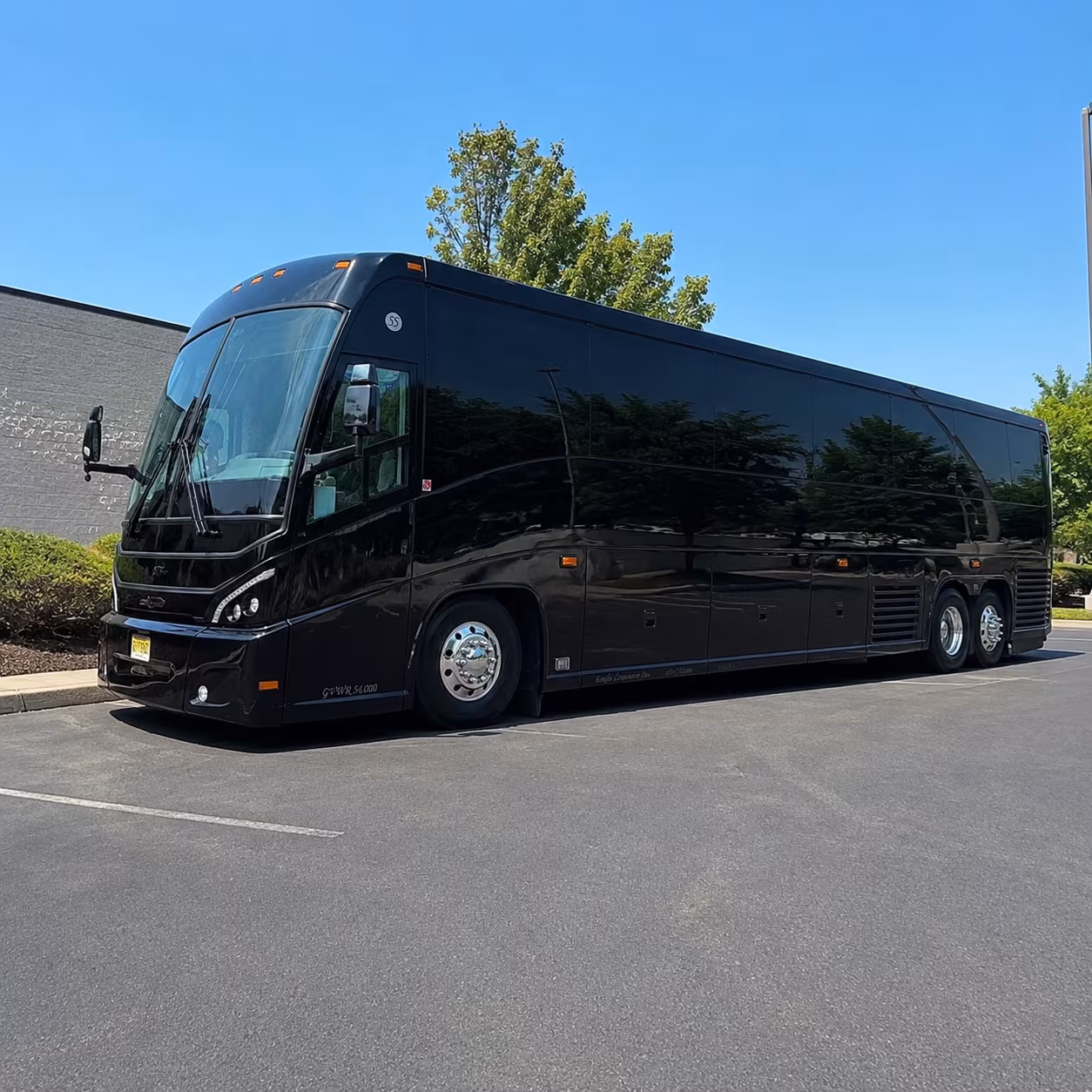 bus rentals to toledo zoo amphitheater concerts and summer events